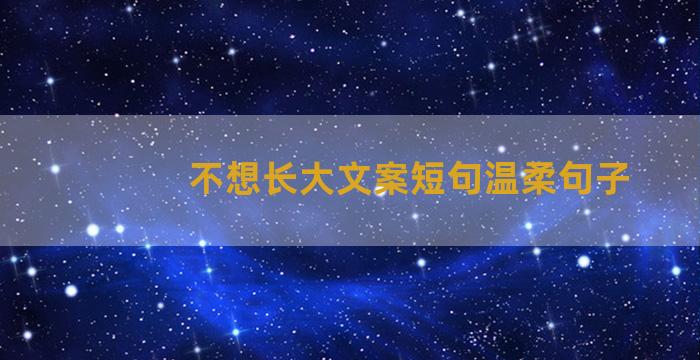 不想长大文案短句温柔句子