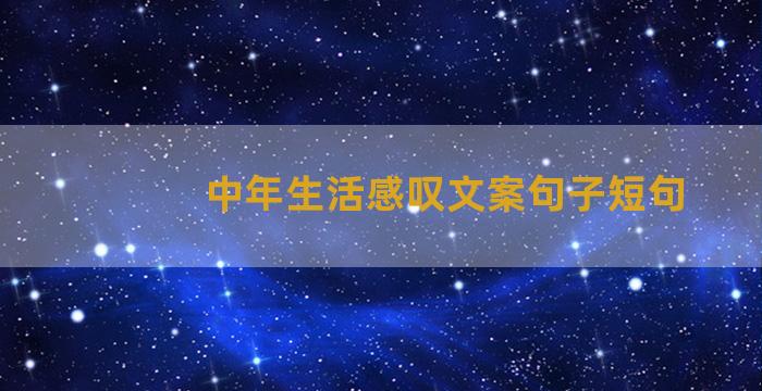 中年生活感叹文案句子短句