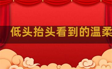 低头抬头看到的温柔句子