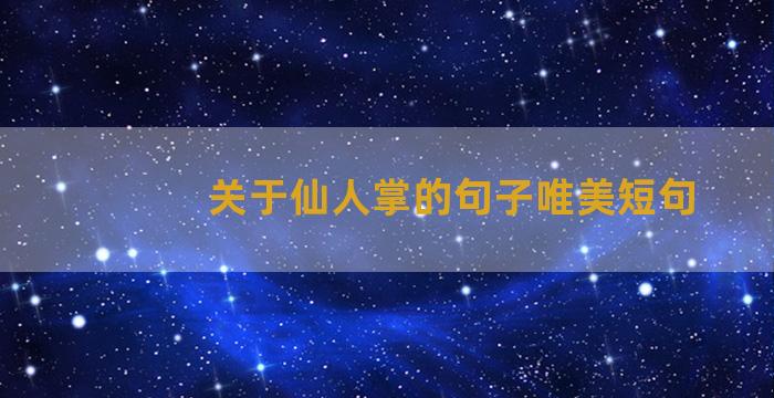 关于仙人掌的句子唯美短句