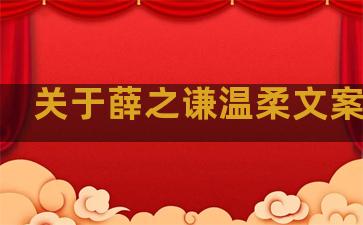 关于薛之谦温柔文案句子