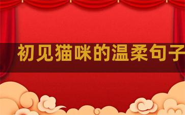初见猫咪的温柔句子说说