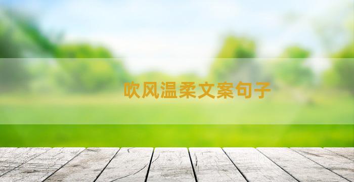 吹风温柔文案句子