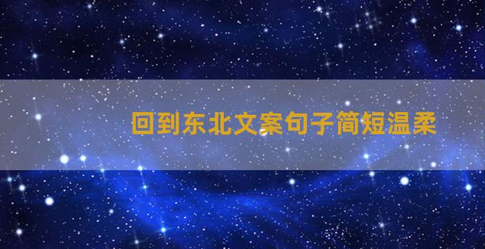 回到东北文案句子简短温柔