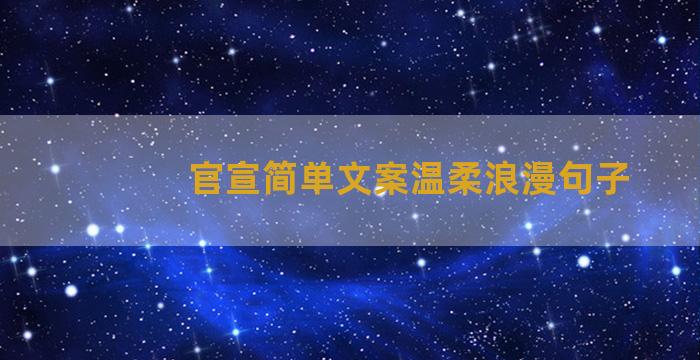 官宣简单文案温柔浪漫句子